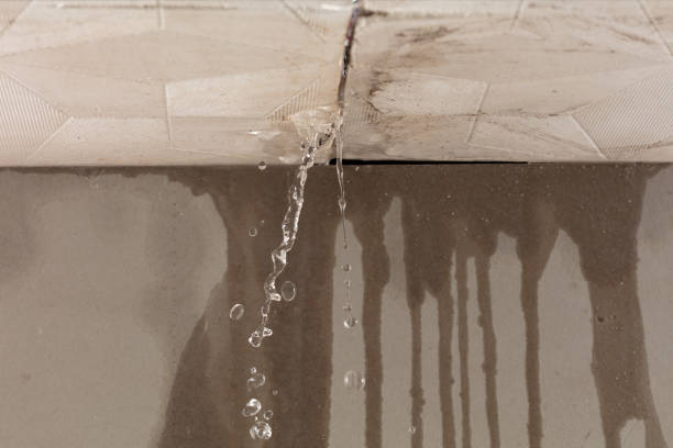 Professional Structural Drying technician working in East Providence, RI